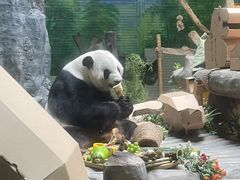 -灵玲国际马戏城