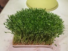 -捞神汤物料理(正大广场店)