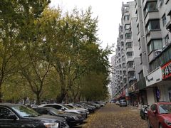 -文记小四川水煮鱼(虹桥路店)