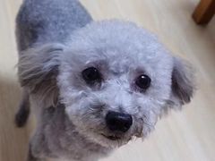 -爱侣宠医·鹦鹉专科·小型哺乳类·异宠专科(灵石路店)