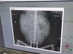 -全心全意连锁动物医院·微创中心·内科急重症·心脏专科(丰管路店)