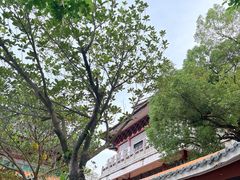 -顺峰山公园