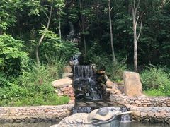 -大连天门山国家森林公园