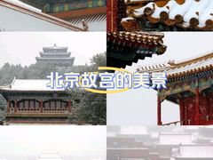 -故宫博物院(故宫)