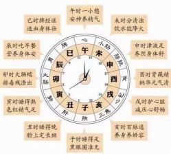 -诗碧曼养发