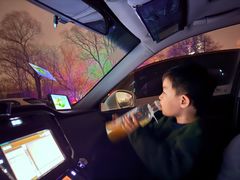 -枫花园汽车电影院(朝阳公园店)