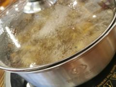 药膳乳鸽-百利鸽王(紫薇路店)