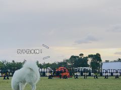 -春花秋色城市公园