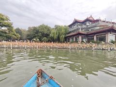 -西湖游船
