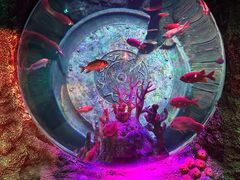 -沈阳海洋探索中心