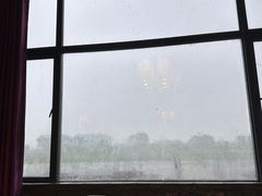 -洪湖生态旅游区