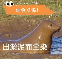 点击看大图 -YESIDO椰岛造型
