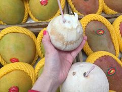 -三亚新鸿港水果一级批发市场