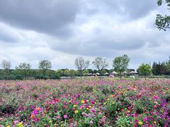 -嘉北郊野公园