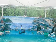 -上海野生动物园