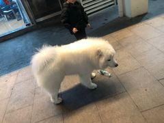-7分甜(观前碧凤坊店)