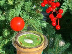 -Mr.Bond Coffee邦德咖啡(神旺店)