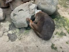 -宁波野生动物园
