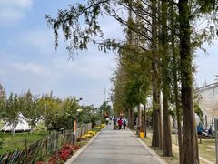 -前小桔亲子创意农场·草莓采摘·露营烧烤