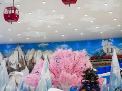 -湘江欢乐城欢乐雪域
