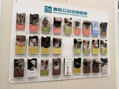 -美联众合爱康动物医院•复杂内科•肿瘤科•牙科•腔镜诊疗中心