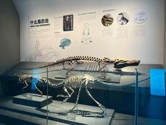 -自贡恐龙博物馆