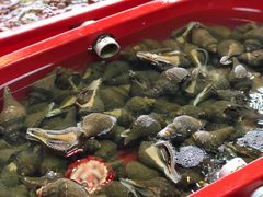 -芦潮港集贸市场