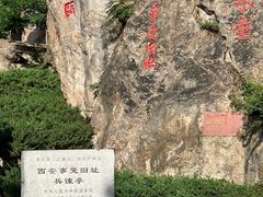 -华清宫景区