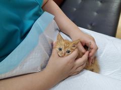 -瑞派天宁宠物医院·猫科·异宠中心