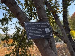 -莲池书院博物馆