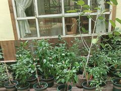-宅里香.自然餐厅(湘大店)