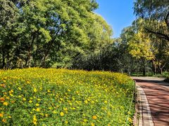 -朝阳公园游乐园