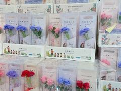 -鹏佳腾学生文创