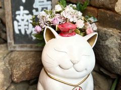-篁岭景区