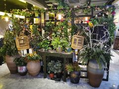 -舌尖上的食缘花园主题餐厅