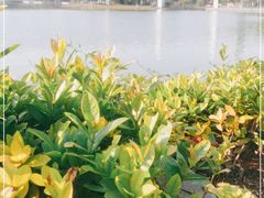 -东莞植物园