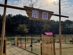 -黄陂区野村谷景区