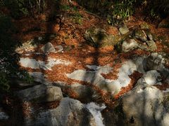 -光雾山旅游景区