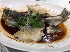 清蒸鲈鱼-正兴蜀园(科技园区店)