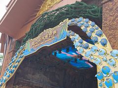 -西双版纳原始森林公园
