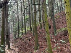 -南岳衡山风景名胜区