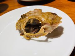 -老号尤兔头(幸福店)