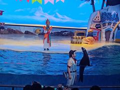 -三亚海昌梦幻海洋不夜城