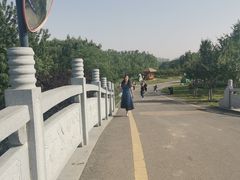 -西安浐灞国家湿地公园
