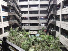 -黑龙江中医药大学附属第一医院