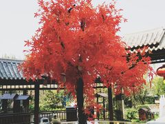 -太白山御龙湾温泉