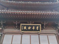 -杭州半山国家森林公园