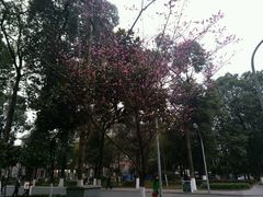 -四川大学(华西校区)