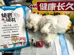 -德元·美联众合24小时动物医院(总院)