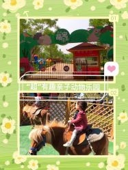 -萌宠亲子动物乐园(槐房万达店)